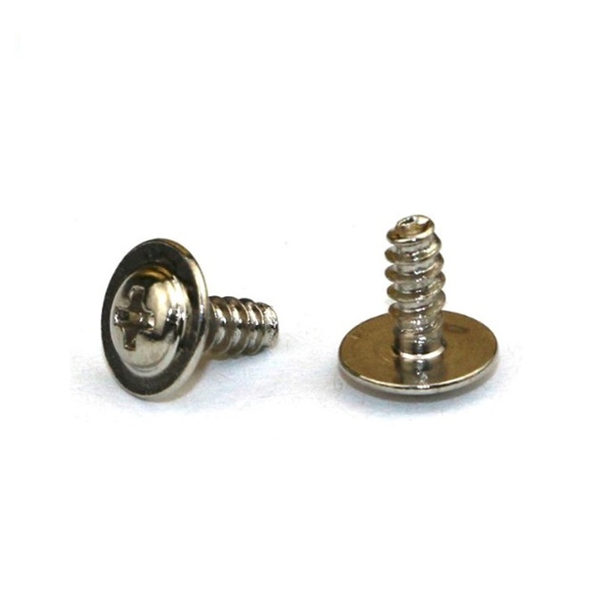 304 Stainless Steel SS304 SS316 M0.8 M1 M1.2 Micro Laptop Screw Pan Head Self-tapping Electronic Small Screws