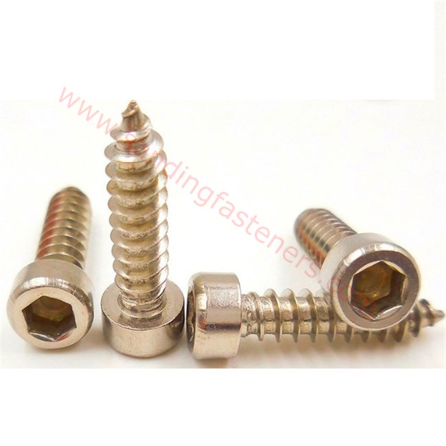 stainless steel hex socket allen head tapping screw