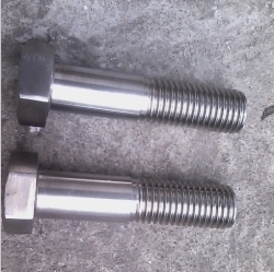 Stainless steel hex bolt