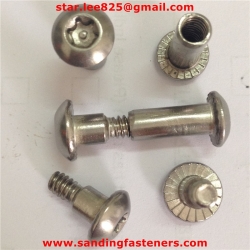 Wholesales stainless steel anti-theft chicago screw