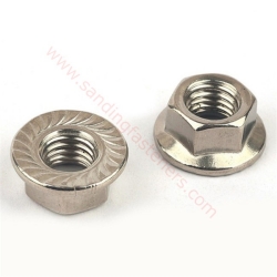 DIN6923 stainless steel hex flange nut